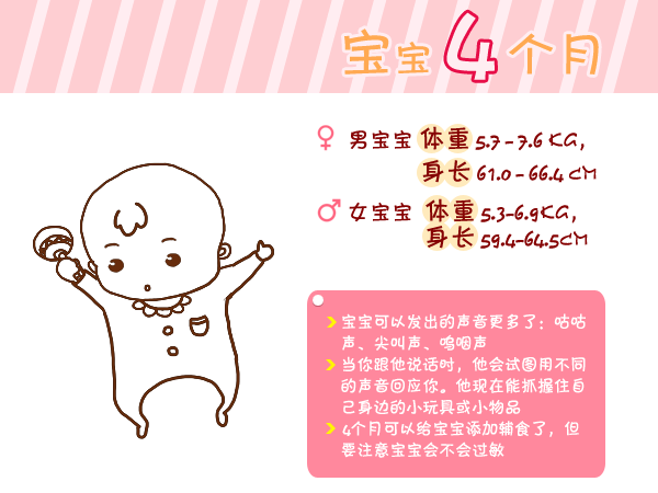 journal_insert_pic_960764775