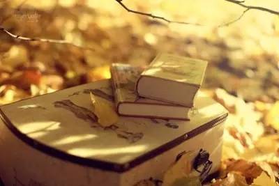 journal_insert_pic_965607532